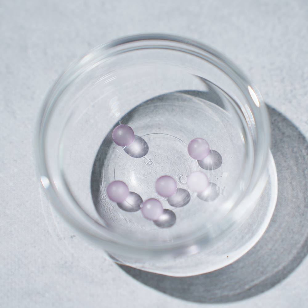 Paleo Laven-D(パレオラベンディ)