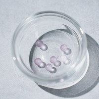 Paleo Laven-D(パレオラベンディ)