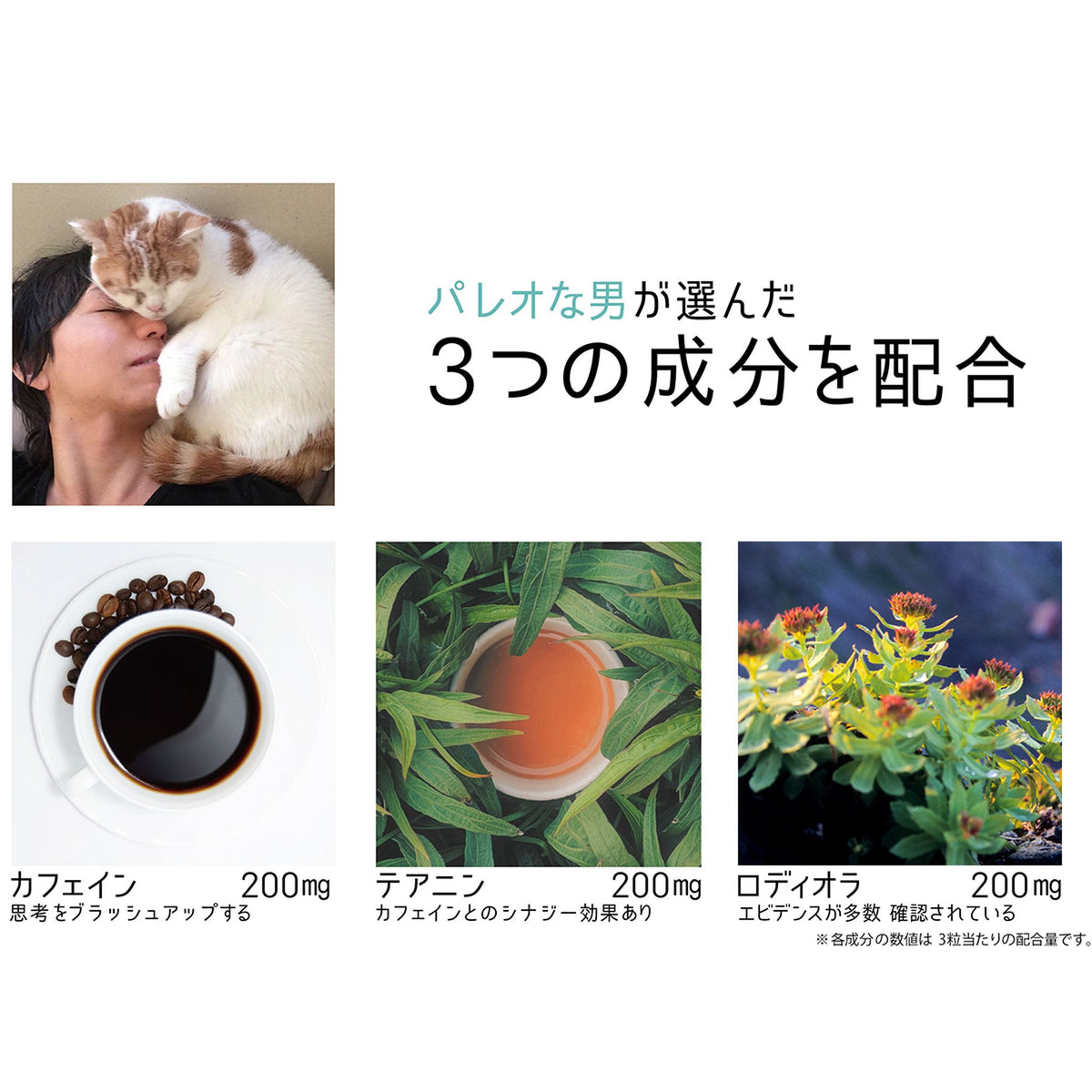インプットセット