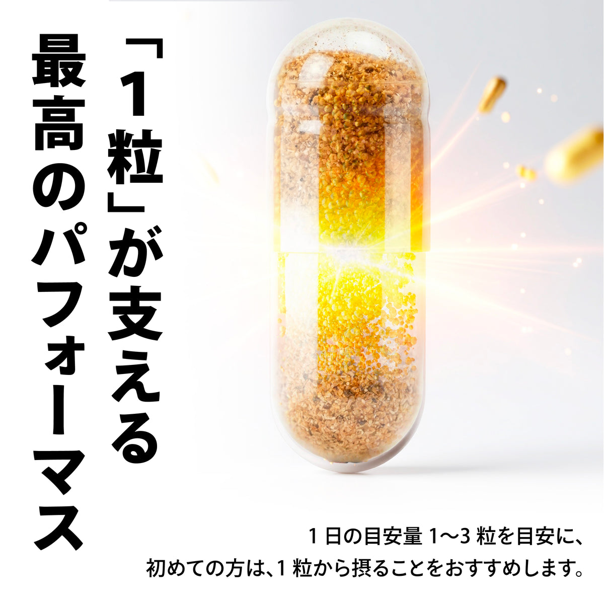 PALEO FOUS（パレオ フォウス）