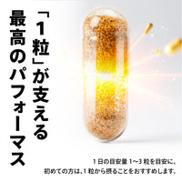 PALEO FOUS（パレオ フォウス）