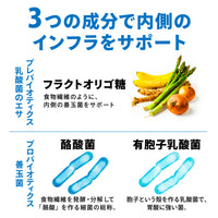 Paleotics（パレオティクス）