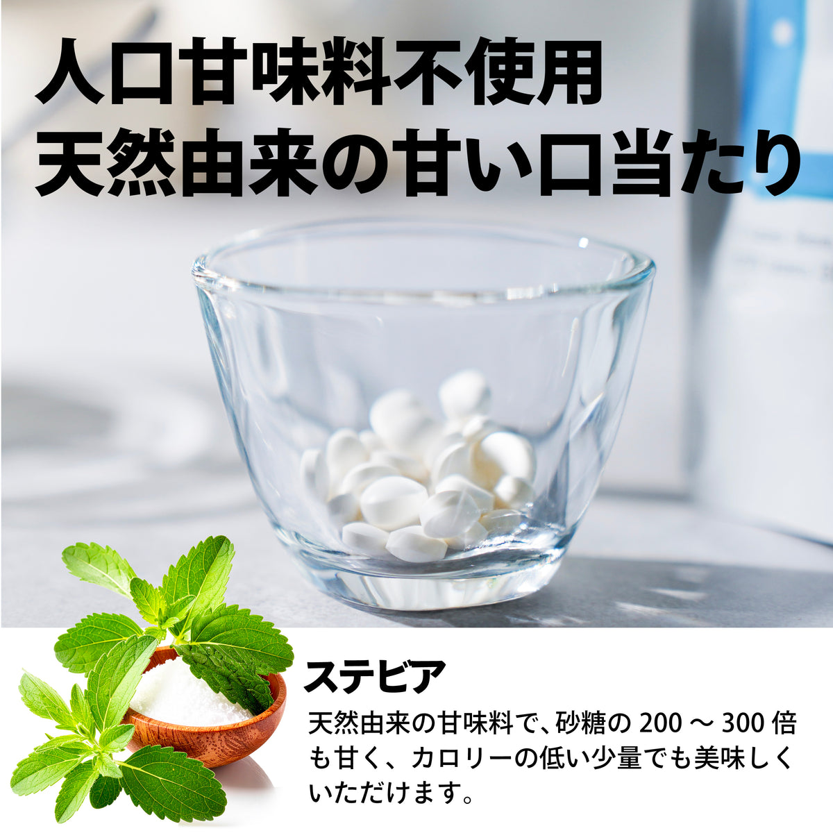 Paleotics（パレオティクス）