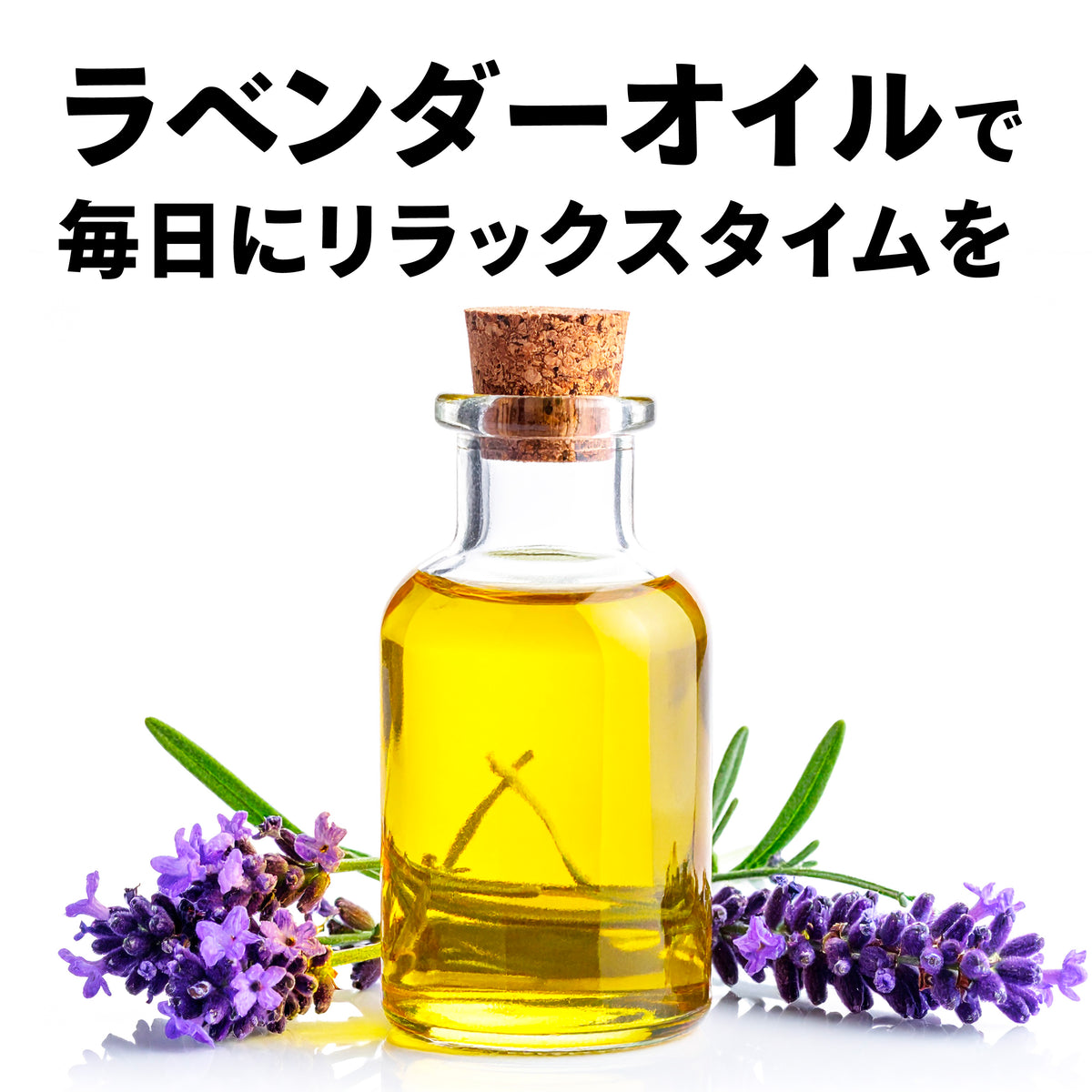 Paleo Laven-D（パレオラベンディ）