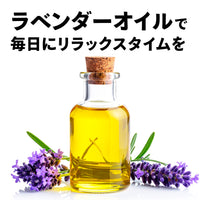 Paleo Laven-D（パレオラベンディ）