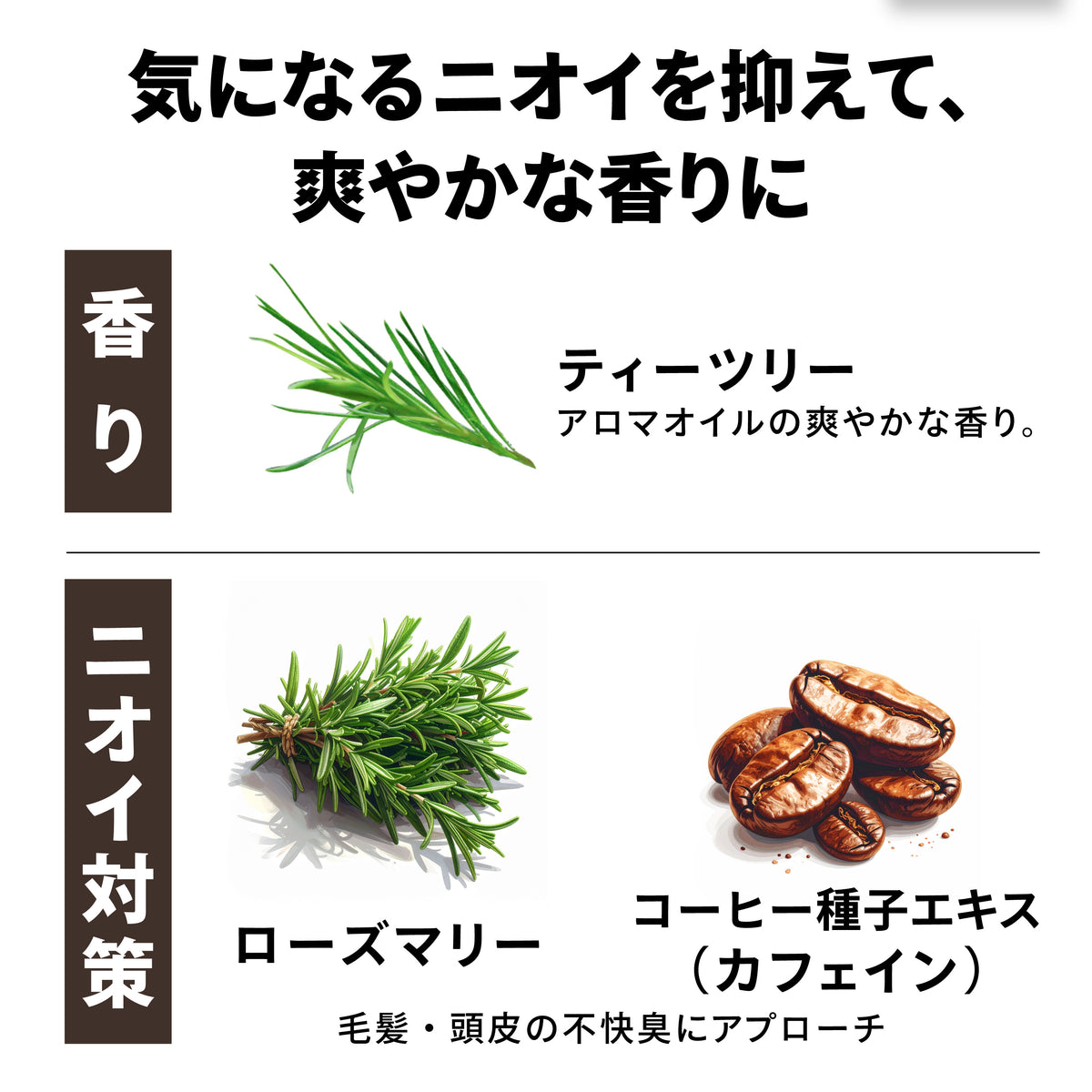 PaleOil -Hair Maintenance-